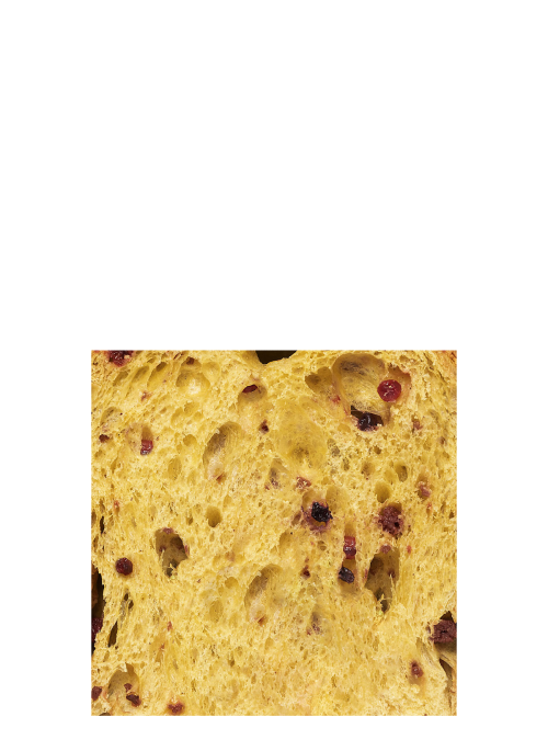 Panettone with berries Dolcemascolo