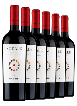 Sodale 6 Bottles
