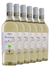 Pecorino Offida 6 Bottles