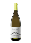 Etna Bianco DOC Mofete Palmento Costanzo