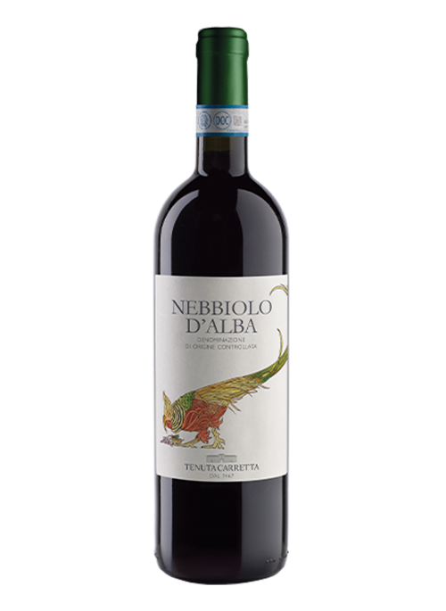 Nebbiolo