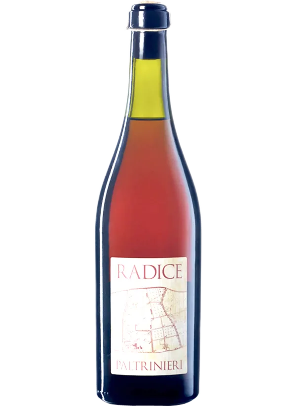 Radice