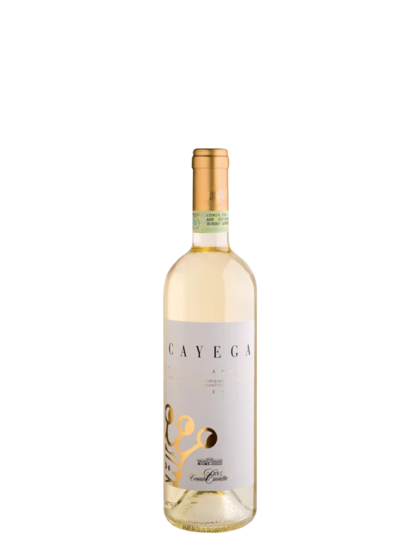 Cayega Demi