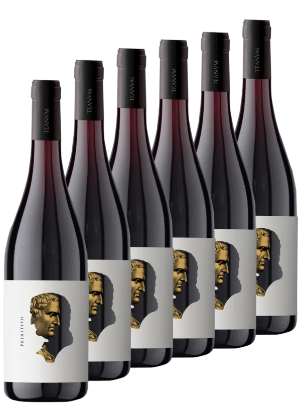 Primitivo Òtre 6 bottiglie