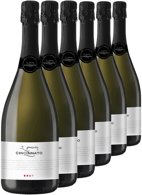 Brut 6 bottiglie