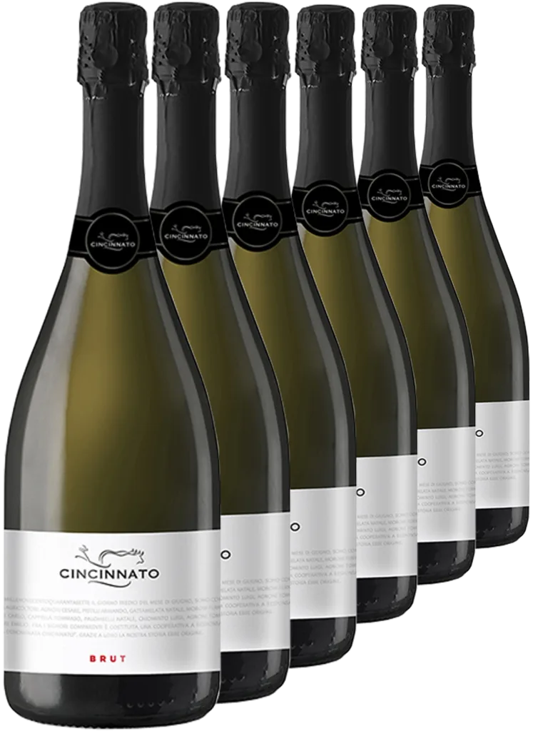Brut 6 bottiglie