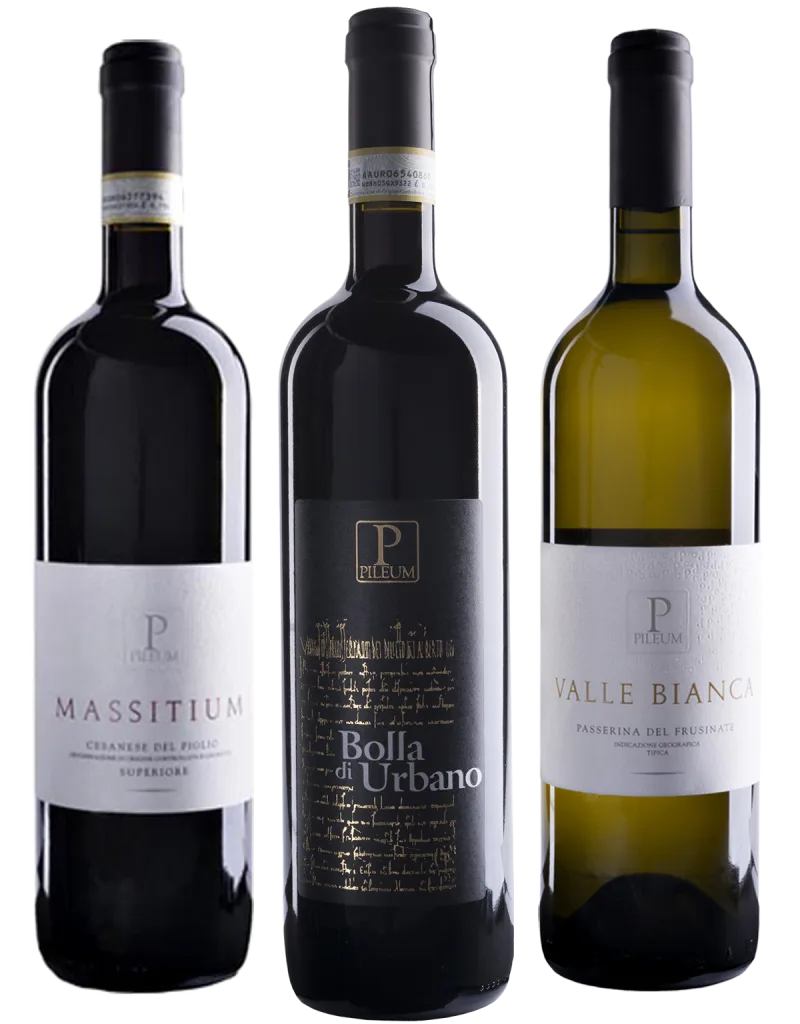 Degustazione Pileum NV