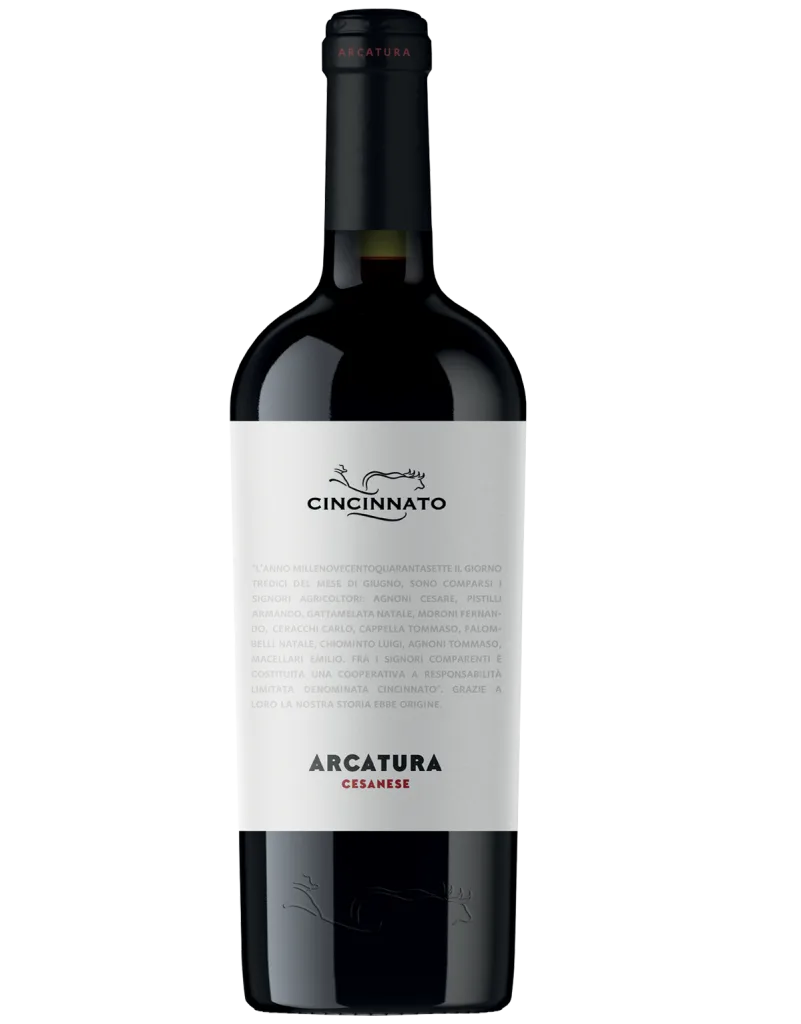 Arcatura