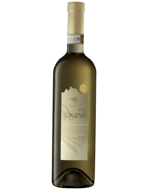 Montidimola