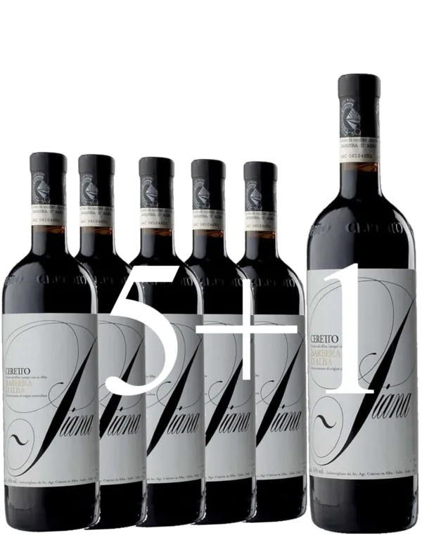 Box Barbera D’Alba