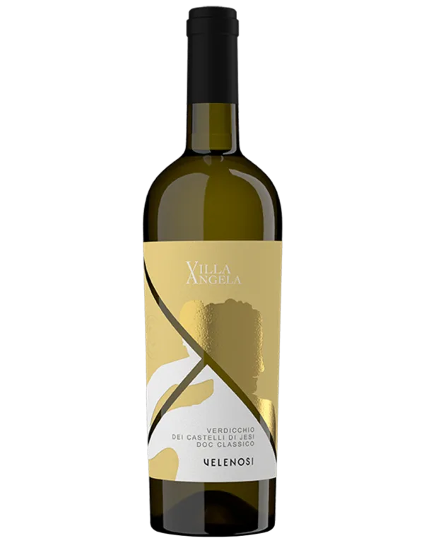 Verdicchio dei Castelli di Jesi