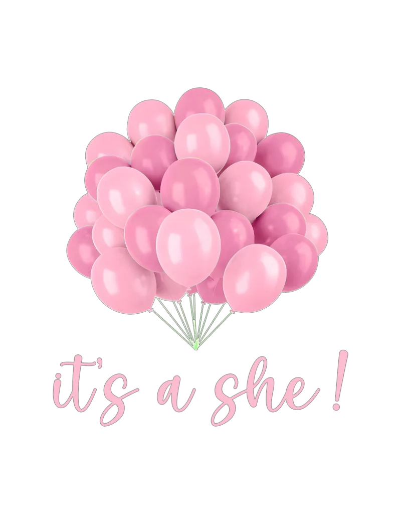 Palloncini Rosa