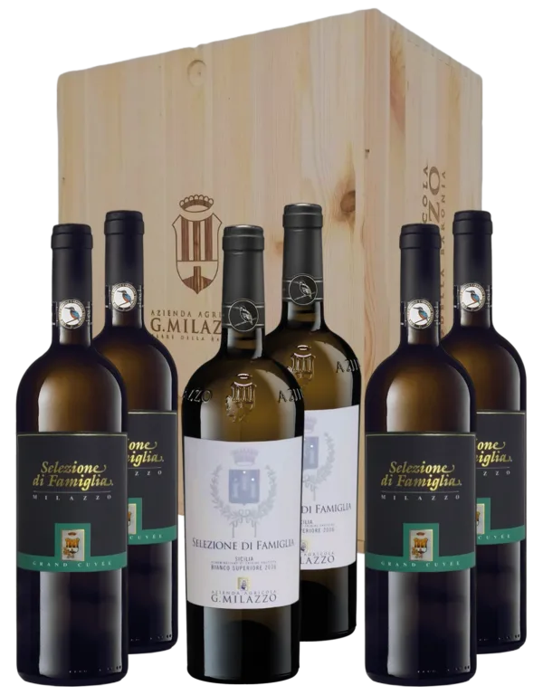 Cassetta 6 Bottiglie Selezione di Famiglia Verticale 2010 - 2016 - 2018