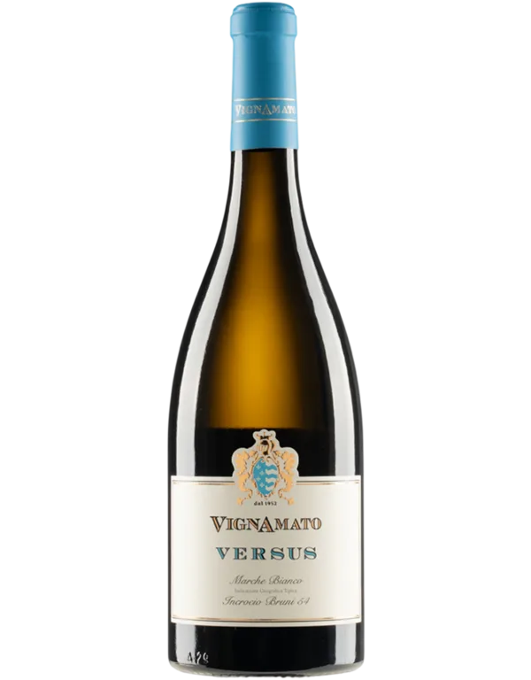 Versus Incrocio Bruni 54