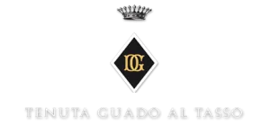 Tenuta Guado al Tasso