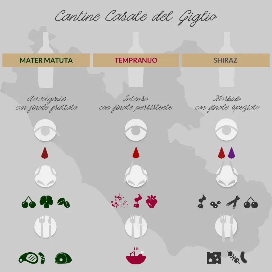 Casale del Giglio degustazione in cantina